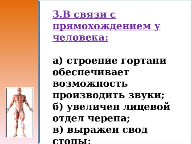 3.В связи с прямохождением у человека:  а) строение гортани обеспечивает возможность производить звуки; б) увеличен лицевой отдел черепа; в) выражен свод стопы; г) всё верно. 