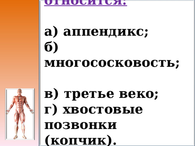 4.К атавизмам относится:  а) аппендикс; б) многососковость; в) третье веко; г) хвостовые позвонки (копчик). 