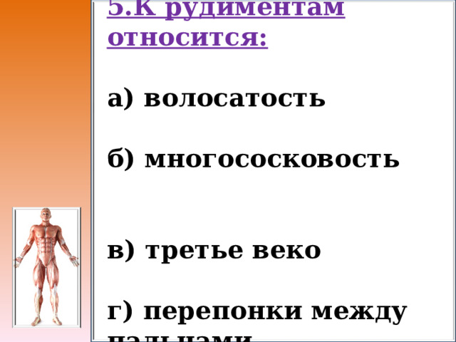 5.К рудиментам относится:  а) волосатость  б) многососковость  в) третье веко  г) перепонки между пальцами 
