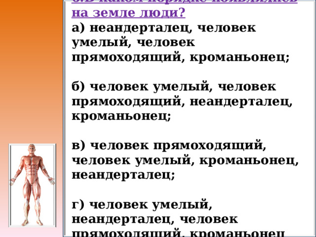 6.В каком порядке появлялись на земле люди? а) неандерталец, человек умелый, человек прямоходящий, кроманьонец;  б) человек умелый, человек прямоходящий, неандерталец, кроманьонец;  в) человек прямоходящий, человек умелый, кроманьонец, неандерталец;  г) человек умелый, неандерталец, человек прямоходящий, кроманьонец  