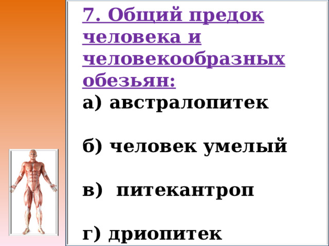 7. Общий предок человека и человекообразных обезьян: а) австралопитек б) человек умелый в) питекантроп г) дриопитек 