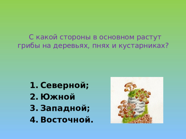  С какой стороны в основном растут грибы на деревьях, пнях и кустарниках?   Северной; Южной Западной; Восточной.  