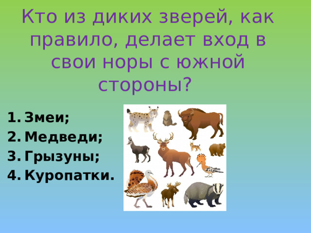 Кто из диких зверей, как правило, делает вход в свои норы с южной стороны?   Змеи; Медведи; Грызуны; Куропатки. 