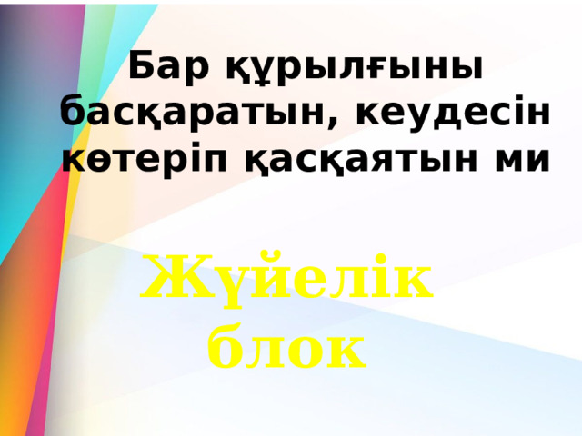 Бар құрылғыны басқаратын, кеудесін көтеріп қасқаятын ми Жүйелік блок 