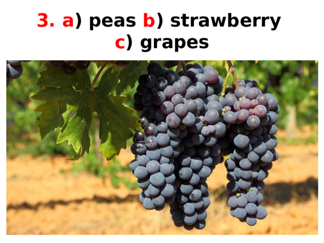 3. a ) peas b ) strawberry  c ) grapes 