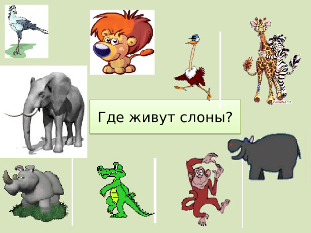Где живут слоны? 