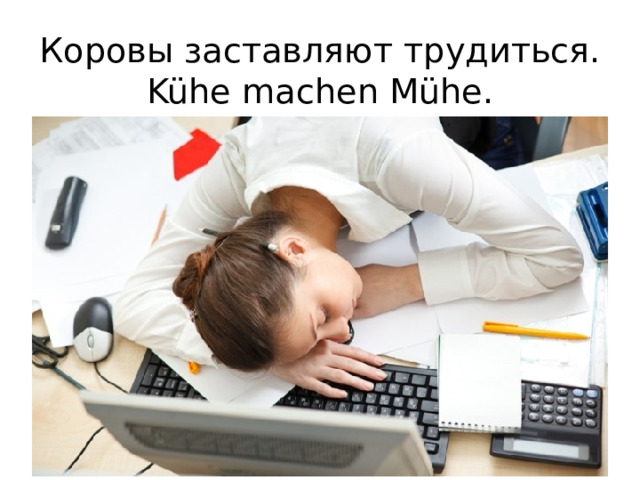Коровы заставляют трудиться.  Kühe machen Mühe.   