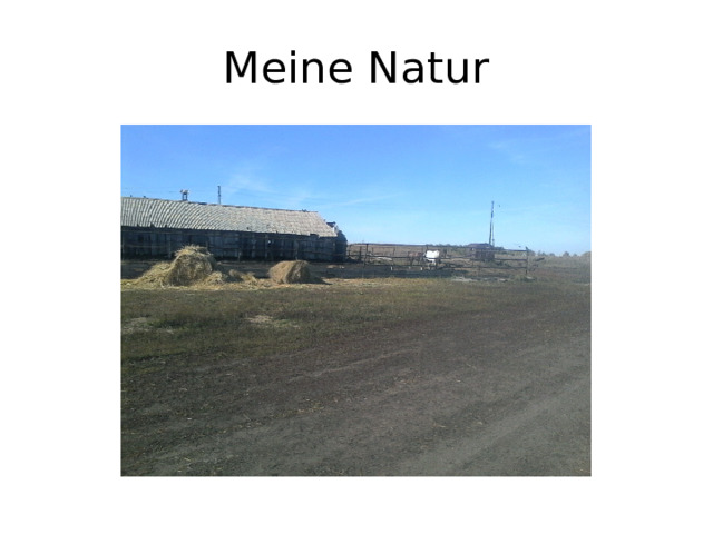 Meine Natur 