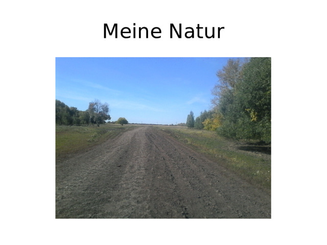 Meine Natur 