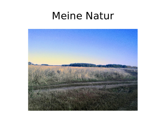Meine Natur 