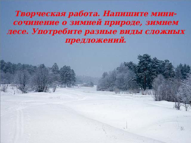 Творческая работа. Напишите мини-сочинение о зимней природе, зимнем лесе. Употребите разные виды сложных предложений.  