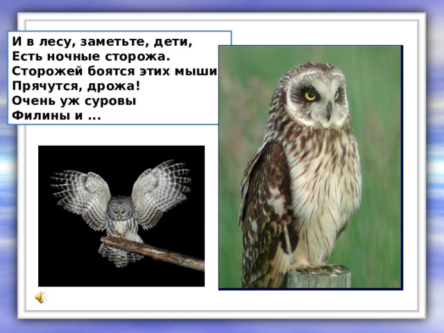 И в лесу, заметьте, дети,  Есть ночные сторожа.  Сторожей боятся этих мыши, Прячутся, дрожа!  Очень уж суровы  Филины и ... 