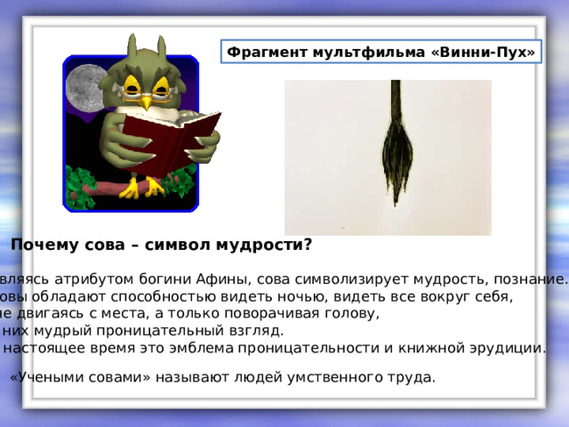 Фрагмент мультфильма «Винни-Пух» Почему сова – символ мудрости? Являясь атрибутом богини Афины, сова символизирует мудрость, познание. Совы обладают способностью видеть ночью, видеть все вокруг себя,  не двигаясь с места, а только поворачивая голову, у них мудрый проницательный взгляд. В настоящее время это эмблема проницательности и книжной эрудиции.  «Учеными совами» называют людей умственного труда. 