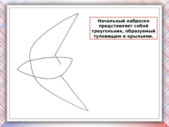 Начальный набросок представляет собой треугольник, образуемый туловищем и крыльями. 