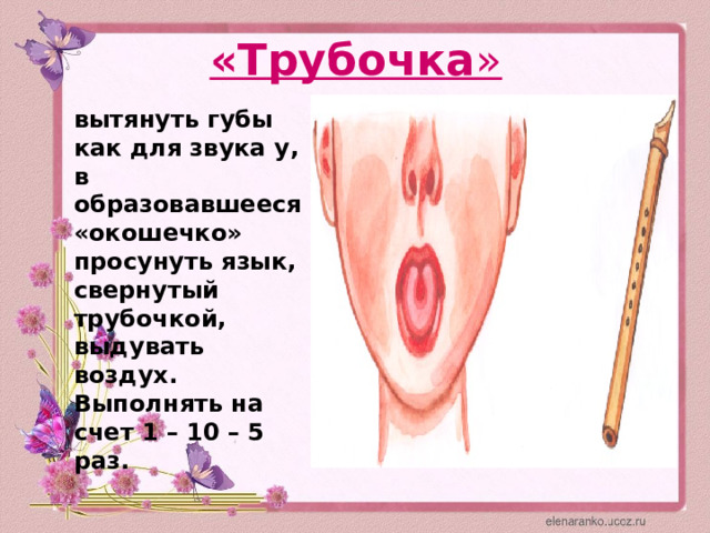 «Трубочка »   вытянуть губы как для звука у, в образовавшееся «окошечко» просунуть язык, свернутый трубочкой, выдувать воздух. Выполнять на счет 1 – 10 – 5 раз. 