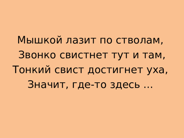 Мышкой лазит по стволам,  Звонко свистнет тут и там, Тонкий свист достигнет уха,  Значит, где-то здесь ...    