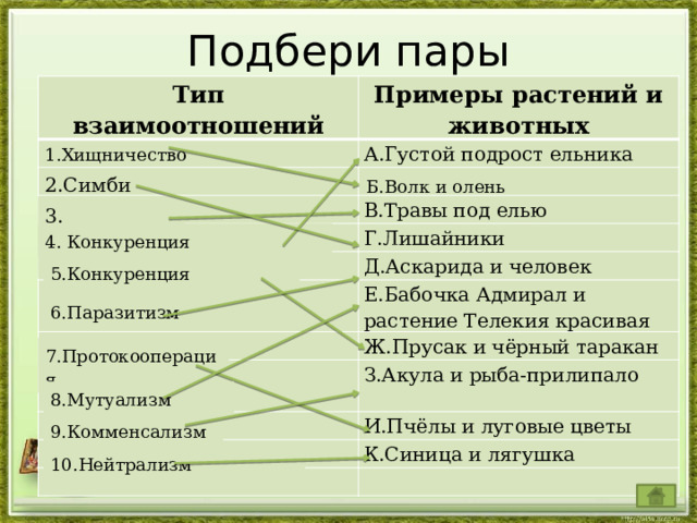 Подбери пары Тип взаимоотношений Примеры растений и животных А.Густой подрост ельника В.Травы под елью Г.Лишайники Д.Аскарида и человек Е.Бабочка Адмирал и растение Телекия красивая Ж.Прусак и чёрный таракан З.Акула и рыба-прилипало И.Пчёлы и луговые цветы К.Синица и лягушка 1.Хищничество Б.Волк и олень 2.Симбиоз 3. Аменсализм 4. Конкуренция внутривидовая 5.Конкуренция межвидовая 6.Паразитизм 7.Протокооперация 8.Мутуализм 9.Комменсализм 10.Нейтрализм 