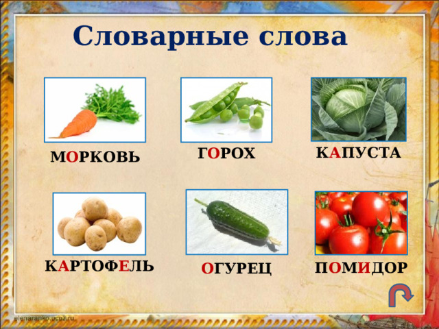 Словарные слова К А ПУСТА Г О РОХ М О РКОВЬ К А РТОФ Е ЛЬ П О М И ДОР О ГУРЕЦ 