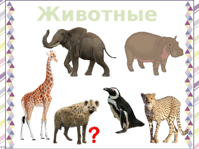 Животные 