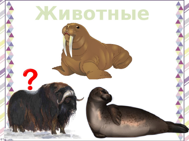 Животные 
