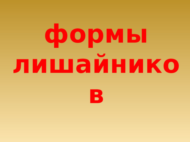формы лишайников 