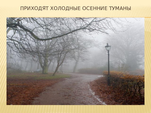 Приходят холодные осенние туманы 