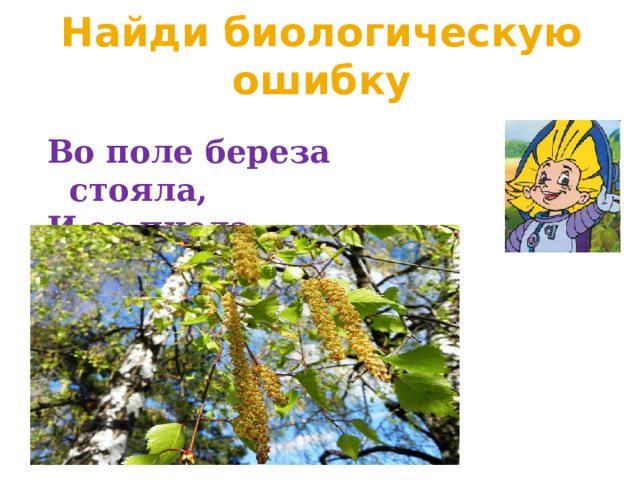 Найди биологическую ошибку Во поле береза стояла, И ее пчела опыляла. 