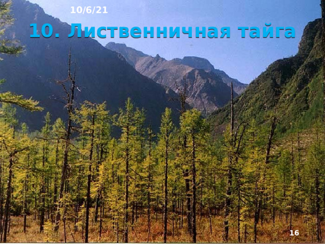 10/6/21 Климат очень суровый арктический, субарктический и умеренный резко континентальный. Здесь расположен «полюс холода» Северного полушария. На севере господствует тундра, на основной части - светлохвойная лиственничная и сосновая тайга. В межгорных котловинах на юге Сибири и в Северной Монголии - горные лесостепи и степи. Почти повсеместно распространена много­летняя мерзлота. Из-за суровых природных условий эта территория - одна из наименее заселённых на материке.   