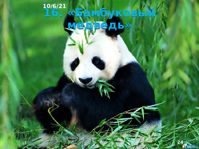 10/6/21 15. Тайфун «Фанфон» в Японии  