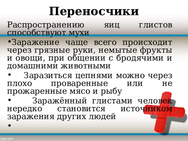 Переносчики   Распространению яиц глистов способствуют мухи Заражение чаще всего происходит через грязные руки, немытые фрукты и овощи, при общении с бродячими и домашними животными  Заразиться цепнями можно через плохо проваренные или не прожаренные мясо и рыбу  Заражённый глистами человек нередко становится источником заражения других людей 