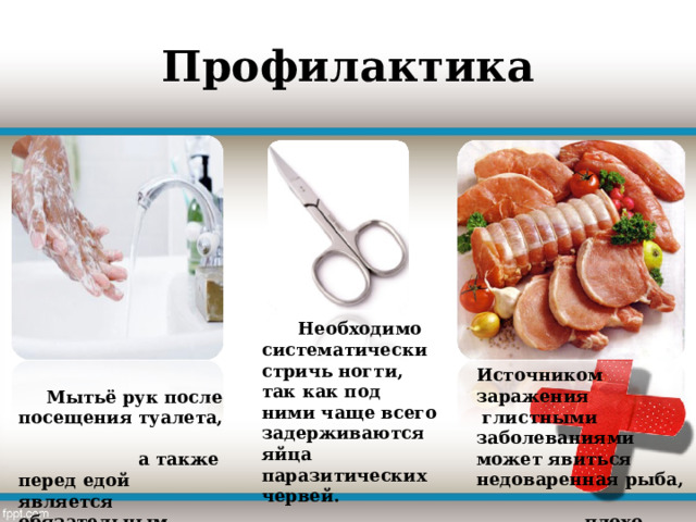 Профилактика  Необходимо систематически стричь ногти, так как под ними чаще всего задерживаются яйца паразитических червей.  Источником заражения  глистными заболеваниями может явиться недоваренная рыба, плохо прожаренное мясо.  Мытьё рук после посещения туалета, а также перед едой является обязательным 