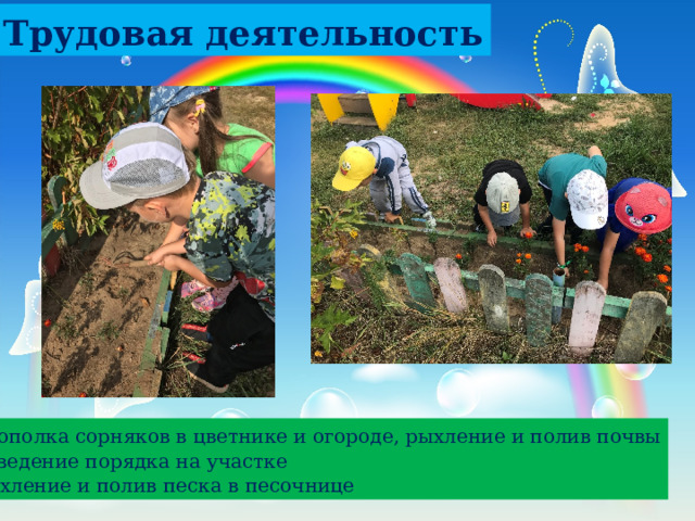 Трудовая деятельность - прополка сорняков в цветнике и огороде, рыхление и полив почвы - наведение порядка на участке - рыхление и полив песка в песочнице 
