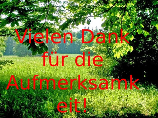 Vielen Dank für die Aufmerksamkeit! 