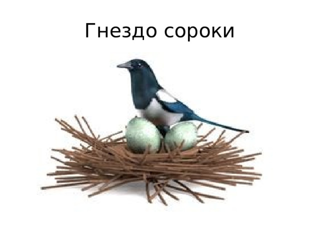 Гнездо сороки 