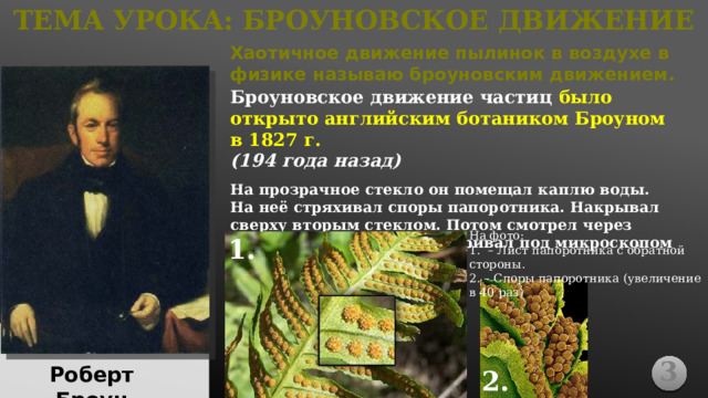 ТЕМА УРОКА: Броуновское Движение Хаотичное движение пылинок в воздухе в физике называю броуновским движением. Броуновское движение частиц было открыто английским ботаником Броуном в 1827 г. (194 года назад)  На прозрачное стекло он помещал каплю воды. На неё стряхивал споры папоротника. Накрывал сверху вторым стеклом. Потом смотрел через микроскоп. Броун рассматривал под микроскопом споры папоротника. На фото: 1. – Лист папоротника с обратной стороны. 2. – Споры папоротника (увеличение в 40 раз) 1. 3 Роберт Броун 2. 