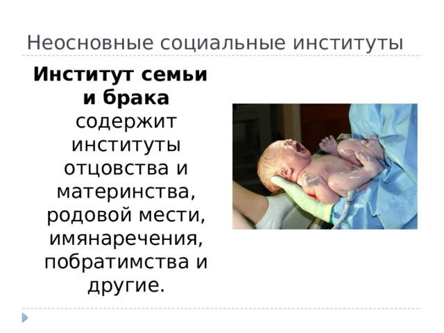 Неосновные социальные институты Институт семьи и брака содержит институты отцовства и материнства, родовой мести, имянаречения, побратимства и другие. 