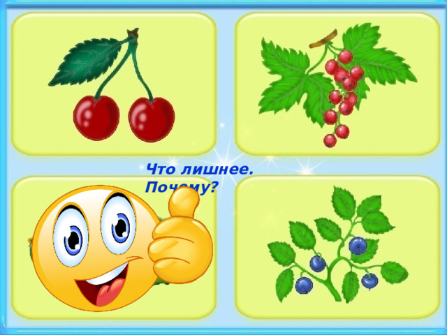 Что лишнее. Почему? 