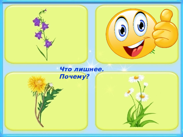 Что лишнее. Почему? 