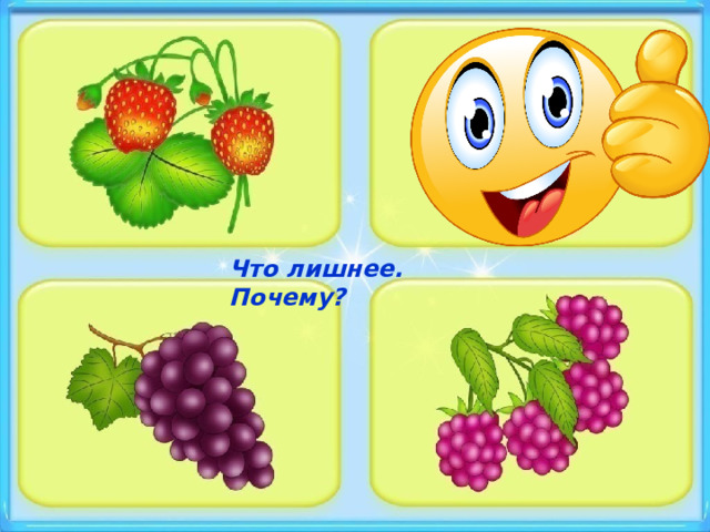 Что лишнее. Почему? 