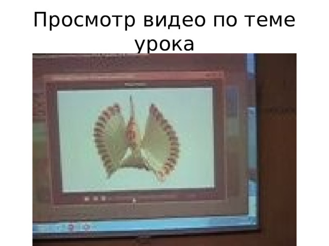 Просмотр видео по теме урока 