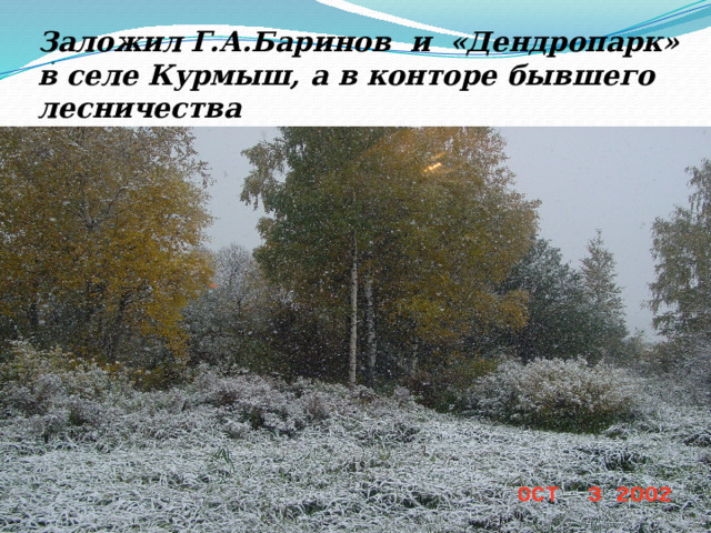 Заложил Г.А.Баринов и «Дендропарк» в селе Курмыш, а в конторе бывшего лесничества  « Музей природы». . 
