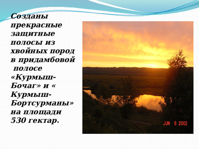 Созданы прекрасные защитные полосы из хвойных пород в придамбовой полосе «Курмыш-Бочаг» и « Курмыш- Бортсурманы» на площади 530 гектар. 