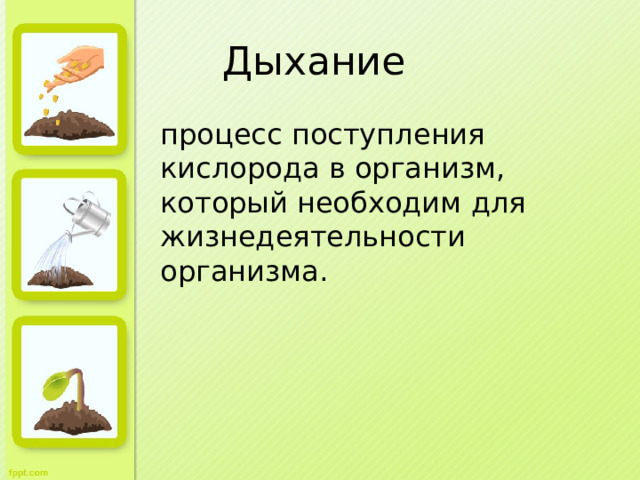Дыхание процесс поступления кислорода в организм, который необходим для жизнедеятельности организма. 