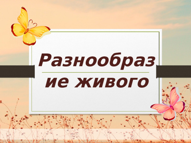Разнообразие живого  