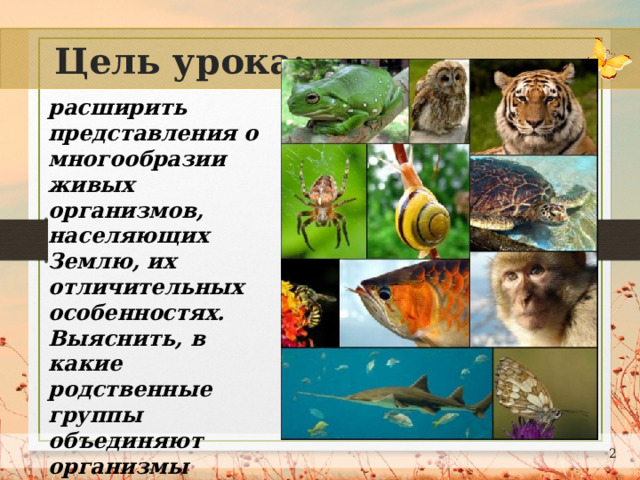 Цель урока: расширить представления о многообразии живых организмов, населяющих Землю, их отличительных особенностях. Выяснить, в какие родственные группы объединяют организмы учёные.  