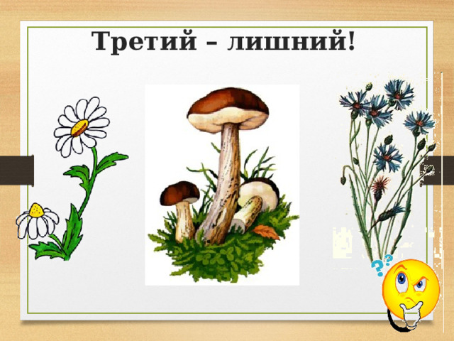 Третий – лишний! 