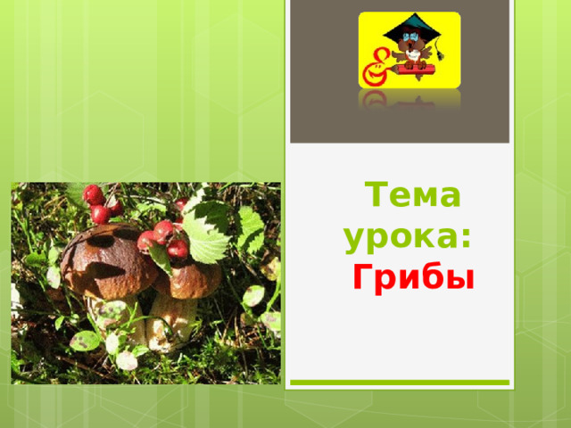 Тема урока: Грибы 