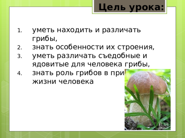 Цель урока: уметь находить и различать грибы, знать особенности их строения, уметь различать съедобные и ядовитые для человека грибы, знать роль грибов в природе и жизни человека 