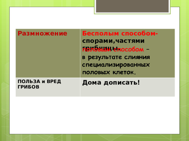 Размножение  Бесполым способом- спорами,частями грибницы. ПОЛЬЗА и ВРЕД ГРИБОВ   Дома дописать! 