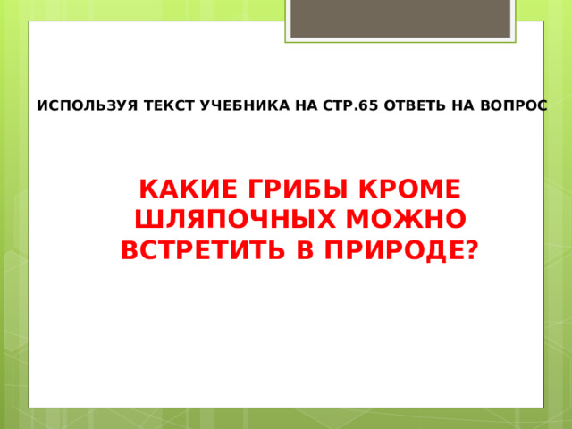 ИСПОЛЬЗУЯ ТЕКСТ УЧЕБНИКА НА СТР.65 ОТВЕТЬ НА ВОПРОС КАКИЕ ГРИБЫ КРОМЕ ШЛЯПОЧНЫХ МОЖНО ВСТРЕТИТЬ В ПРИРОДЕ? 